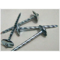 Umbrella Head Roofing Nails